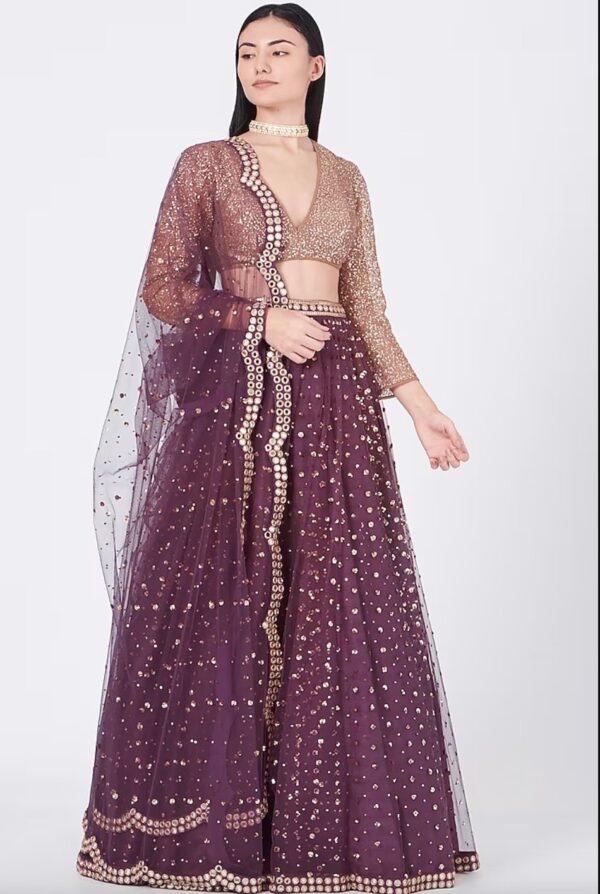 Wine Silk Mirror Embroidered Lehenga Set